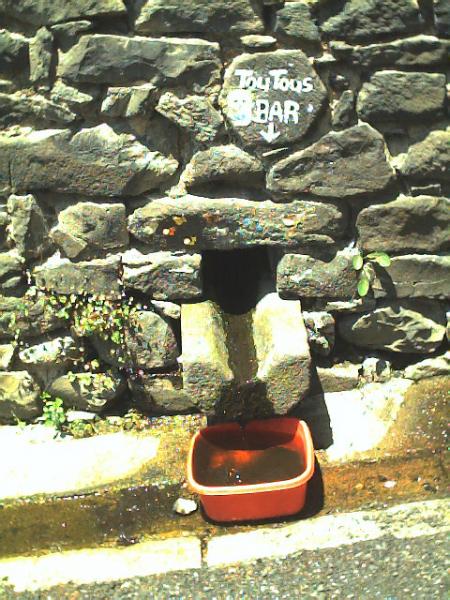 toutous bar